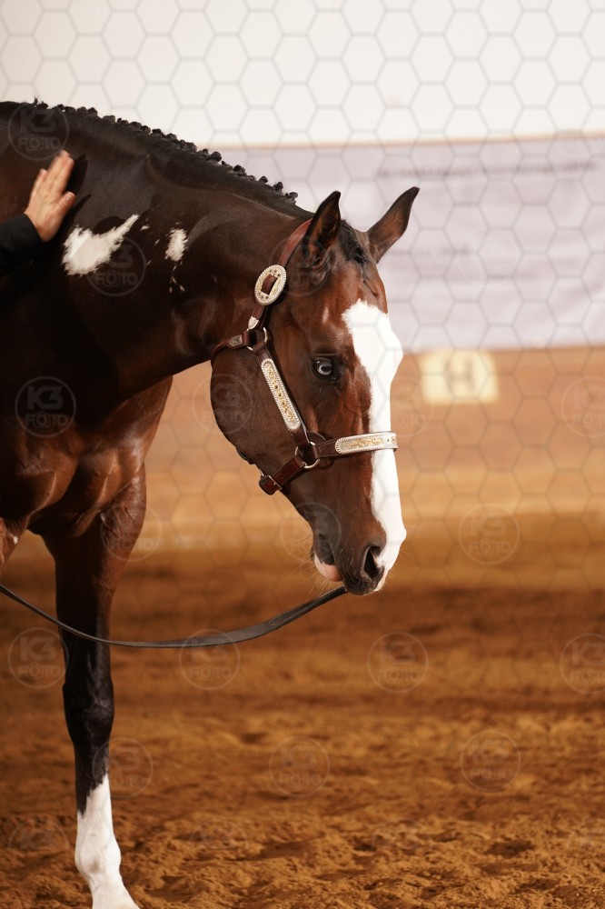 s_A_905800.JPG